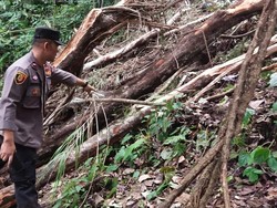 Kematian Tragis 4 Pemburu Burung di Garut, Ini 5 Faktanya