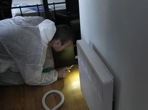 Beban Kerja Pembasmi Padat gegara Kutu Busuk di Paris