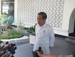 Jokowi Beberkan Alasan Tunjuk Kepala Bapanas Jabat Plt Mentan