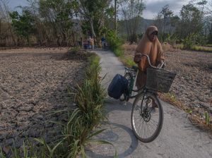 BMKG Prediksi El Nino Akan Berlangsung hingga Maret 2024