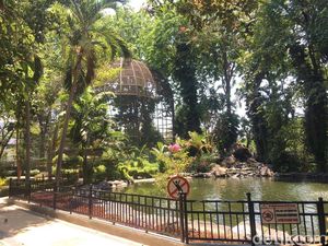 Taman di Surabaya Harus Tetap Hijau Meski Musim Sedang Kemarau