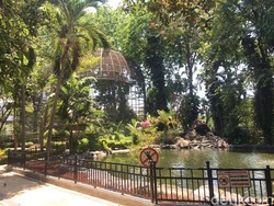 Taman di Surabaya Harus Tetap Hijau Meski Musim Sedang Kemarau