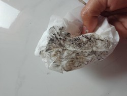 Dari Mana Datangnya Debu di Rumah? 12 Hal Ini Mungkin Sumbernya