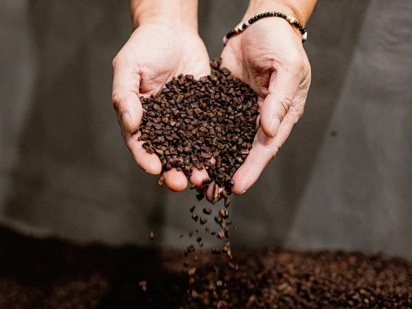 Startup Ini Bikin Kopi Tanpa Biji Pertama di Dunia, Begini Wujudnya