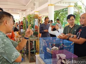 Pemkab Bone Gelar Vaksinasi Massal Buntut 383 Warga Digigit Anjing Rabies Pemkab Bone Gelar Vaksinasi Massal Buntut 383 Warga Digigit Anjing Rabies