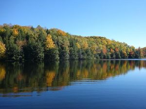 Danau Tambelang Bekasi: Daya Tarik, Harga Tiket, dan Lokasi Danau Tambelang Bekasi: Daya Tarik, Harga Tiket, dan Lokasi