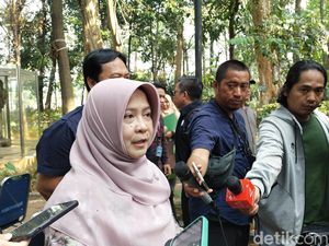 Malaysia Surati Indonesia soal Kabut Asap, Ini Respons KLHK