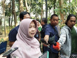 Malaysia Surati Indonesia soal Kabut Asap, Ini Respons KLHK