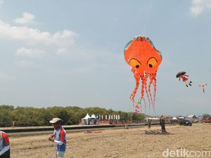 Gurita Raksasa Hiasi Langit Cirebon