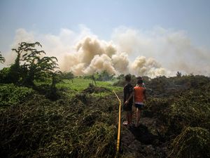 Kebun PTPN III Cinta Manis Disegel Buntut Karhutla Kebun PTPN III Cinta Manis Disegel Buntut Karhutla