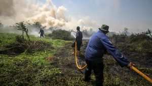 Kebakaran Lahan Makin Banyak, Kini Terjadi di Sidoarjo