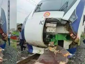 Kereta Cepat India Pernah Tabrak Sapi, Mental dan Timpa Orang Kereta Cepat India Pernah Tabrak Sapi, Mental dan Timpa Orang