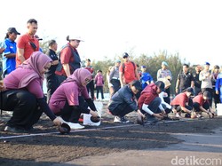 Tour of Kemala, Ketua Bhayangkari Lepas 700 Tukik di Pantai Cemara Banyuwangi