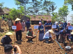 PNM Sebar Bibit Sayuran ke 5 Desa Binaan, Mulai Kendari hingga Tasikmalaya