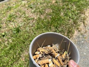 Viral Potret Para Tetangga Tak Tahu Diri, Bikin Gedek