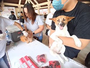 World Rabies Day 2023, Warga Denpasar Ramai-ramai Vaksinasi Anjing World Rabies Day 2023, Warga Denpasar Ramai-ramai Vaksinasi Anjing