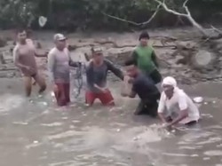 Beredar Video Nelayan Sidoarjo Tangkap Buaya 2 Meter