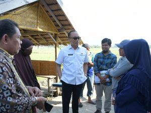 Zudan Dorong Balai Benih Jadi Pusat Inovasi Pertanian di Sulbar