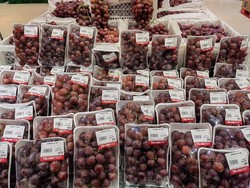 Banjir Promo Transmart Full Day Sale, Buah Segar Cuma Bayar Segini!