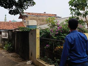 Damkar Evakuasi Monyet Liar yang Gigit 2 Anak di Depok