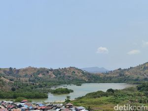Menikmati Indahnya Danau Kota Kaya, Dulunya Tempat Migrasi Bebek Australia Menikmati Indahnya Danau Kota Kaya, Dulunya Tempat Migrasi Bebek Australia