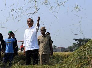 Harga Beras RI Disebut Paling Mahal di ASEAN, Jokowi Buka Suara Harga Beras RI Disebut Paling Mahal di ASEAN, Jokowi Buka Suara