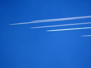 Saat Mayoritas WNI di Israel Tolak Dievakuasi karena Merasa Aman