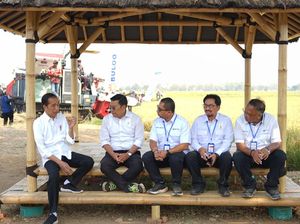 Holding BUMN Pangan Kembangkan Bibit Unggul Padi, Hasil 7 Ton/Ha