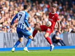 Brighton Vs Liverpool Berakhir Imbang 2-2