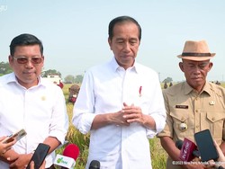 Tanpa SYL, Jokowi Panen Raya di Subang Kini Ditemani Plt Mentan