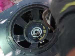 Lagi! Ular Dievakuasi Damkar Klaten, Kali Ini Ngumpet di Speaker