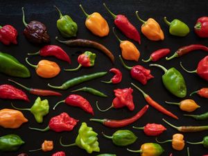 Bukan Buat Sambal, 5 Cabai Ini Cocoknya Diolah Jadi Perasa hingga Selai Bukan Buat Sambal, 5 Cabai Ini Cocoknya Diolah Jadi Perasa hingga Selai