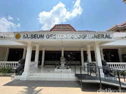 Melihat Fosil Gajah Purba Mastodon Jutaan Tahun di Museum Geoteknologi UPN