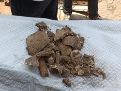 Misteri Kerangka Manusia di Septic Tank Banguntapan Bantul