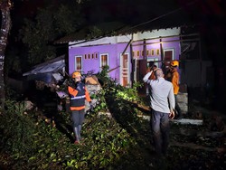 Hujan Disertai Angin Kencang Tumbangkan 6 Pohon-Rusak 5 Rumah Warga Jember