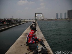 Jakarta Bisa Selamat dari Ancaman Tenggelam Tanpa Giant Sea Wall?