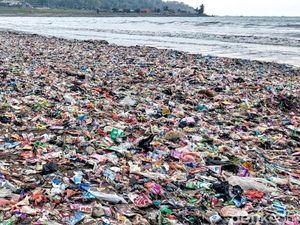Pesisir Loji Sukabumi Kembali Dipenuhi Sampah Sehari Usai Dibersihkan Pesisir Loji Sukabumi Kembali Dipenuhi Sampah Sehari Usai Dibersihkan