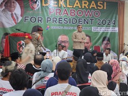 Gerindra Sebut Indonesia Butuh Pemimpin Kuat, Singgung Perang Israel-Hamas