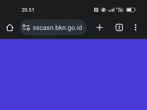 Jelang Pendaftaran Tutup Malam Ini Situs SSCASN Tak Bisa Diakses