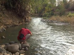 Sungai Welang di Pasuruan Diduga Tercemar Limbah, DLH Ambil Sampel Air
