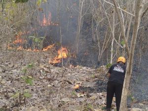 Sempat Padam, Api Kembali Muncul di Lokasi Kebakaran Lahan Bayat Klaten