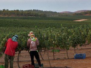 Buruh Migran Berbagai Negara Tewas-Disandera dalam Serangan Hamas