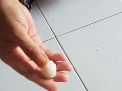 Polisi Ungkap Hasil Uji Lab Beras Bulog Membal yang Viral di Binjai