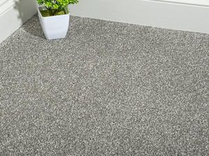 Cara Menghilangkan Noda Bekas Muntah pada Karpet Cara Menghilangkan Noda Bekas Muntah pada Karpet