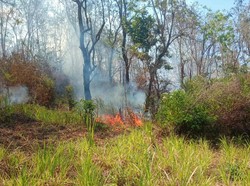 Lereng Gunung Agung Terbakar Lagi!