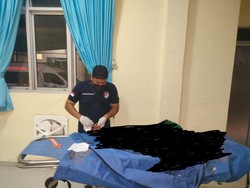 Mayat Pria Tubuh Hancur Ditemukan di Jalinsum OI, Diduga Korban Tabrak Lari