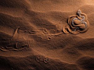 Karya Jawara Kontes Foto Alam Bikin Terkesima