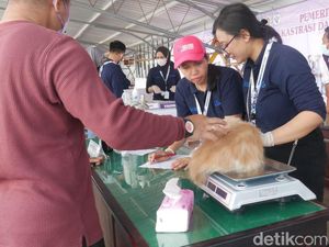 Ratusan Ekor Anjing dan Kucing di Pacitan Divaksinasi Cegah Rabies Ratusan Ekor Anjing dan Kucing di Pacitan Divaksinasi Cegah Rabies