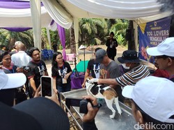 Ratusan Anjing di Bengkulu Divaksinasi Gratis Antisipasi Rabies