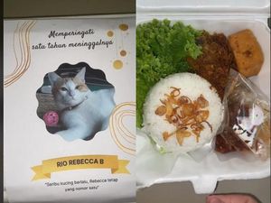 Viral! Orang Ini Bagikan Nasi Berkat Untuk Peringatan Kematian Kucingnya Viral! Orang Ini Bagikan Nasi Berkat Untuk Peringatan Kematian Kucingnya